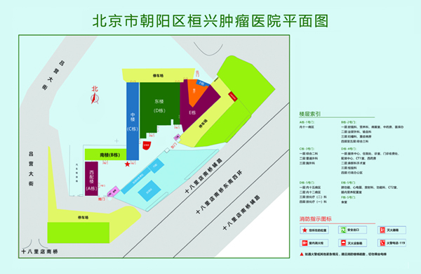 啊啊啊穴逼逼插逼穴视频北京市朝阳区桓兴肿瘤医院平面图